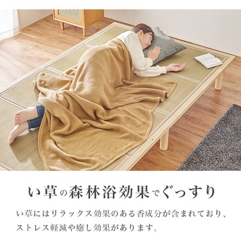 高さ3段階 すのこベッド & 畳マットレス SET シングル / セミダブル / ダブル 畳ベッド 萩原
