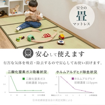 高さ3段階 すのこベッド & 畳マットレス SET シングル / セミダブル / ダブル 畳ベッド 萩原