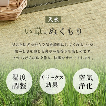 国産 総 ひのき ベッド & 畳 マットレス セット シングル 萩原