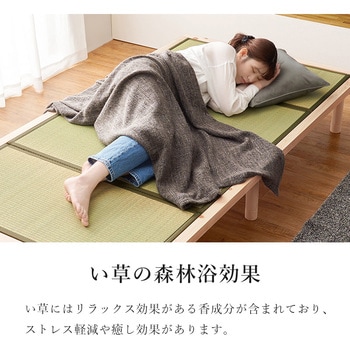 国産 総 ひのき ベッド & 畳 マットレス セット シングル 萩原