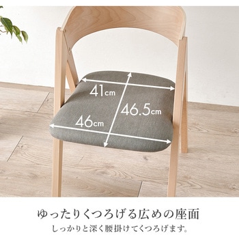 ダイニングチェア 2脚セット コンパス脚タイプ 北欧モダン 萩原