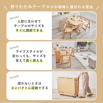 折りたたみ式 ダイニングテーブル バタフライテーブル 【 単品 】 萩原