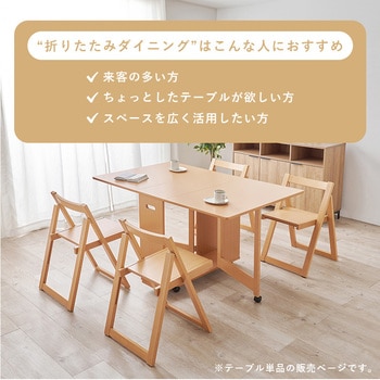 折りたたみ式 ダイニングテーブル バタフライテーブル 【 単品 】 萩原
