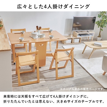 折りたたみ式 ダイニングテーブル バタフライテーブル 【 単品 】 萩原
