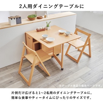 折りたたみ式 ダイニングテーブル バタフライテーブル 【 単品 】 萩原