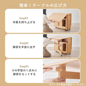 折りたたみ式 ダイニングテーブル バタフライテーブル 【 単品 】 萩原