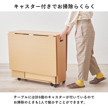 折りたたみ式 ダイニングテーブル バタフライテーブル 【 単品 】 萩原