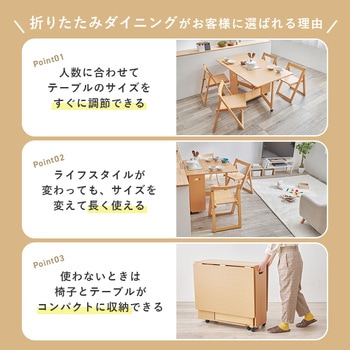 折りたたみ式 ダイニングテーブル チェア セット ダイニングセット バタフライテーブル 【 4人掛け 】 萩原