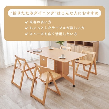 折りたたみ式 ダイニングテーブル チェア セット ダイニングセット バタフライテーブル 【 4人掛け 】 萩原