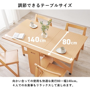 折りたたみ式 ダイニングテーブル チェア セット ダイニングセット バタフライテーブル 【 4人掛け 】 萩原