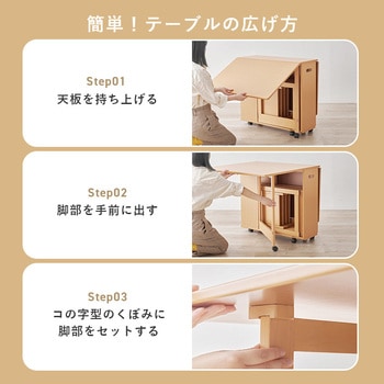 折りたたみ式 ダイニングテーブル チェア セット ダイニングセット バタフライテーブル 【 4人掛け 】 萩原