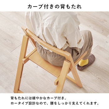 折りたたみ式 ダイニングテーブル チェア セット ダイニングセット バタフライテーブル 【 4人掛け 】 萩原
