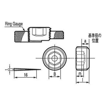 R1/2-14 六角穴付テーパねじプラグ 浮き (鉄/黒染め)(小箱) 1箱(200個