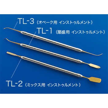 ゴールデンプロ ポーセレンインストゥルメント エーティーディー 