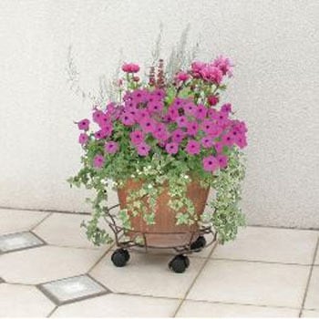 コンテナキャリー ガード付 - タカショー