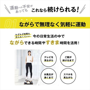 サイドステッパー フィーア 保護マット付き アルインコ