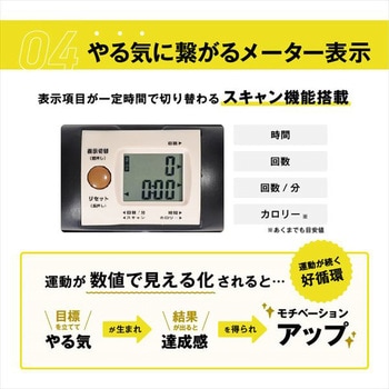 サイドステッパー フィーア 保護マット付き アルインコ