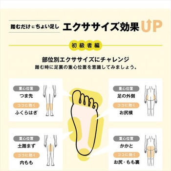 サイドステッパー フィーア 保護マット付き アルインコ