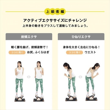 サイドステッパー フィーア 保護マット付き アルインコ