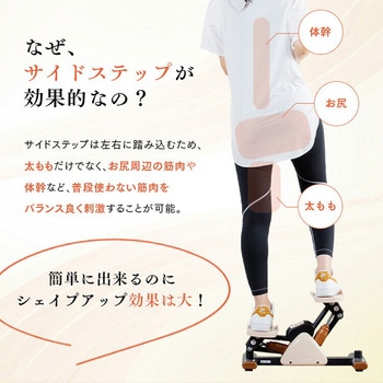 サイドステッパー フィーア 保護マット付き アルインコ