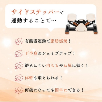 サイドステッパー フィーア 保護マット付き アルインコ