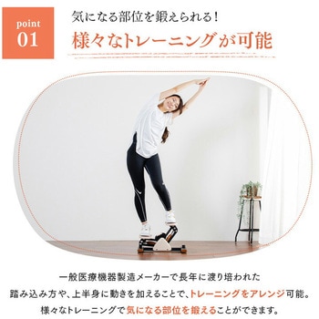 サイドステッパー フィーア 保護マット付き アルインコ