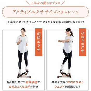 サイドステッパー フィーア 保護マット付き アルインコ