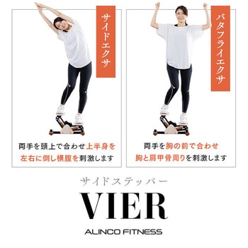 サイドステッパー フィーア 保護マット付き アルインコ