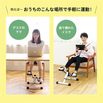 コンパクトバイク サイクルン アルインコ