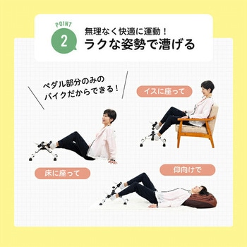 コンパクトバイク サイクルン アルインコ