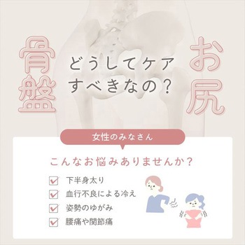 ホールドマッサージャー アルインコ