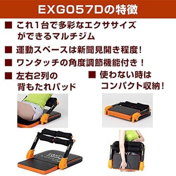 イージエクサ ツイン&フロアマットバンドル アルインコ