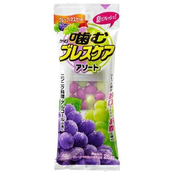噛むブレスケア アソート 小林製薬