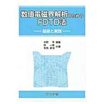 数値電磁界解析のためのFDTD法 コロナ