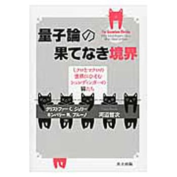 量子論の果てなき境界 共立出版