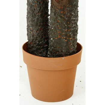 52678 観葉植物 シダ 43 不二貿易 外形寸法900×900×1470mm 52678 観葉植物 シダ 43 不二貿易 外形寸法900×900×1470mm