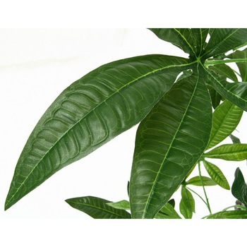 観葉植物 パキラ 不二貿易