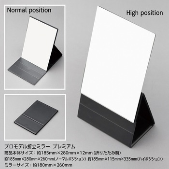 プロモデル折立ナピュアミラープレミアム 堀内鏡工業