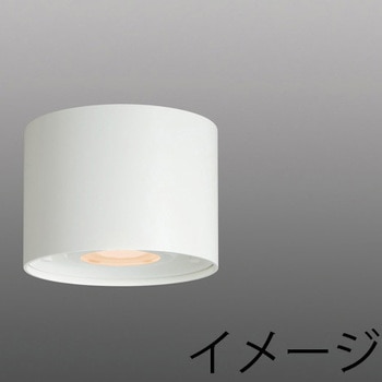 EL-C1010AL/W AHN LEDƖ CeAƖ V[O gU^Cv OHd@ Ra83 100`242V dF 160mm115mm 41664500