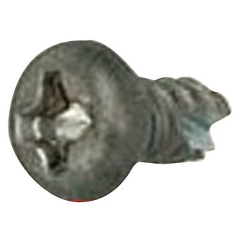 (+)ナベタッピンねじ 2種溝付B-1形 (チタン)(パック品) 大阪魂