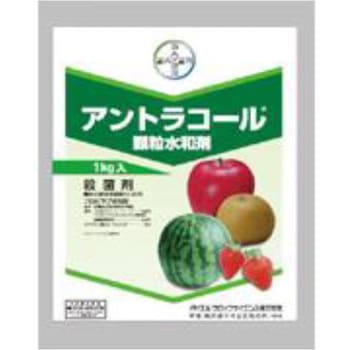 アントラコール顆粒水和剤 バイエルクロップサイエンス
