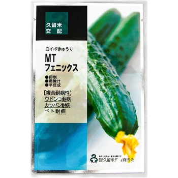 【タネ】MTフェニックス 久留米原種育成会