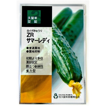 【タネ】ZRサマーレディ 久留米原種育成会