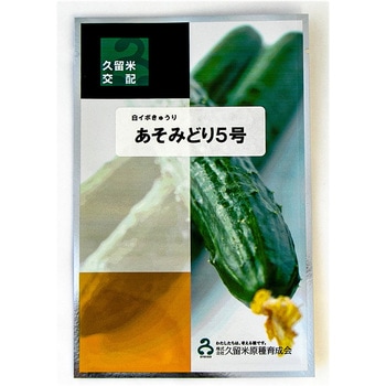 【タネ】あそみどり5号 久留米原種育成会