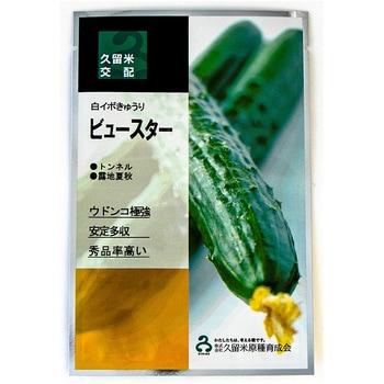 【タネ】ビュースター 久留米原種育成会