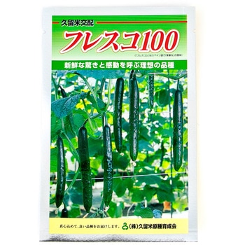 【タネ】フレスコ100 久留米原種育成会