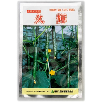 【タネ】久輝 久留米原種育成会