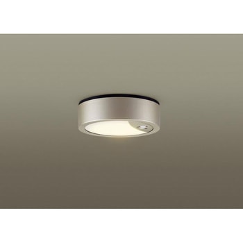 LSEWC4069LE1 �_�E���V�[�����O100�`�d���F Panasonic(�p�i�\�j�b�N) Ra83 �����s�� �F���x2700K 41834897