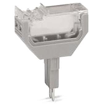 2002-880 XvOR|[lg vO nEWO SWp O[F 41859431