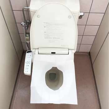 おでかけ便座シート スバル(洗浄剤)